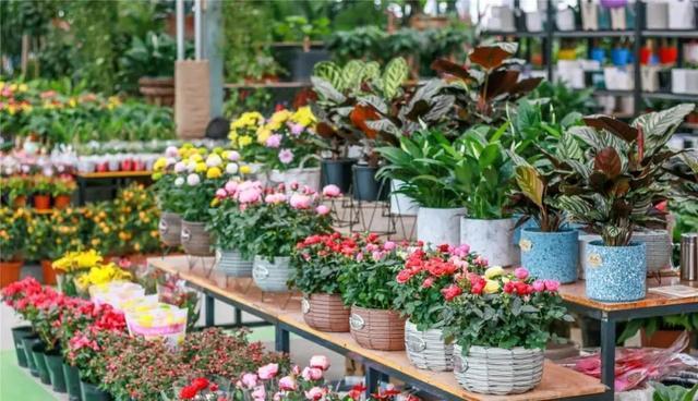 1679623541213075.jpeg 花卉市場(chǎng)1.jpeg