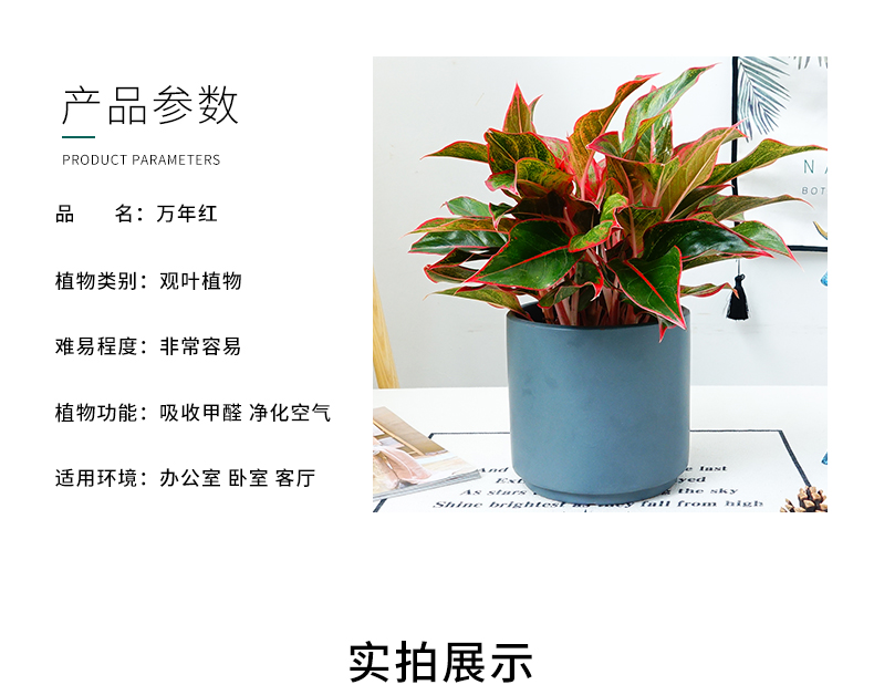 1680183731154390.jpg 1617095604(1).jpg