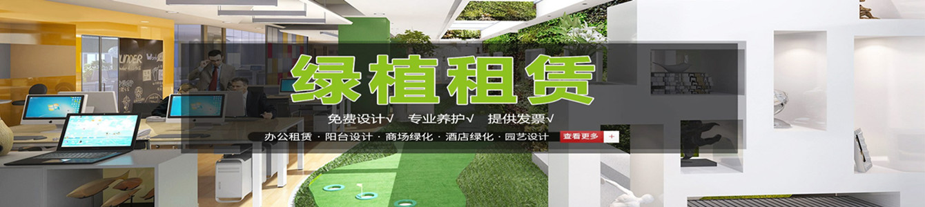 綠植養(yǎng)護(hù)標(biāo)準(zhǔn)