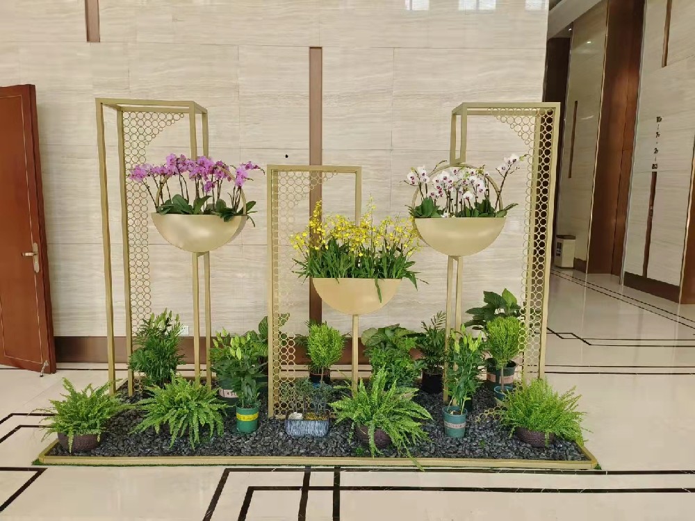 室內(nèi)植物造景|綠植造型|綠植景觀