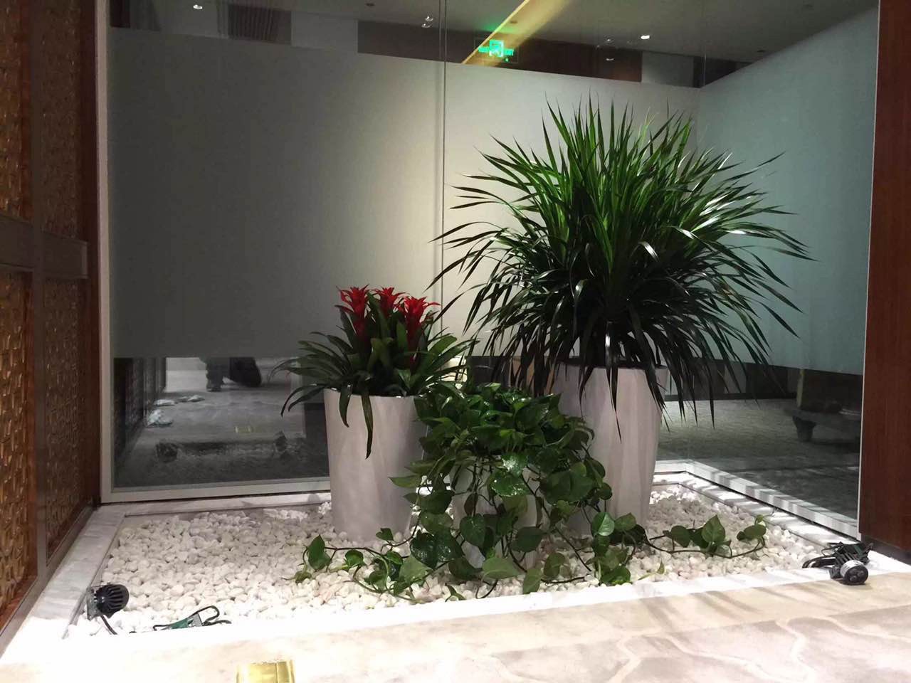 1681743147174269.jpg 1-1PP3143951215.jpg