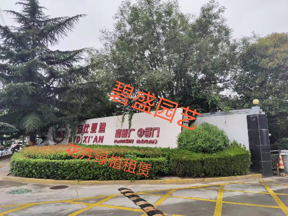 1704432600764860.png image.png