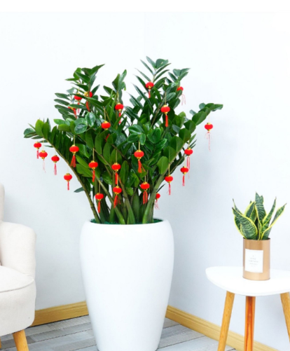 1707212997207007.png image.png