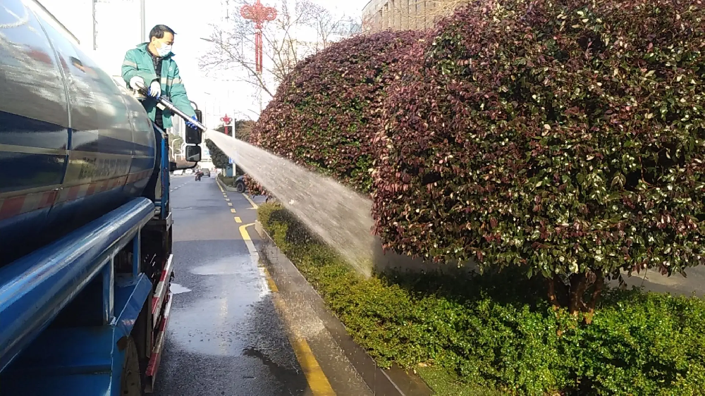 西安道路綠化養(yǎng)護(hù)專業(yè)公司|西安碧盛園藝