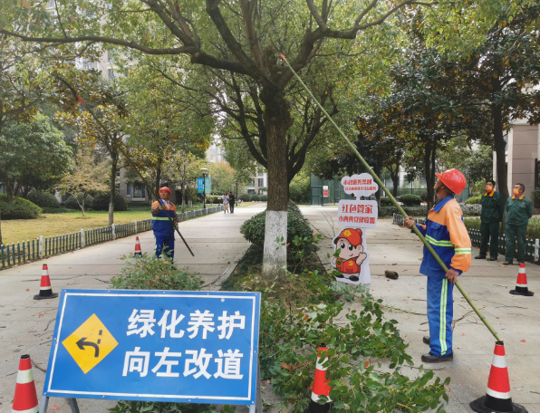 西安工業(yè)園區(qū)園林綠化公司|碧盛園藝