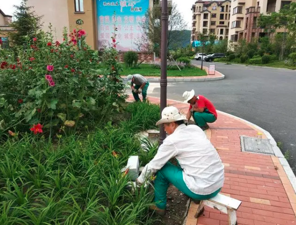 生活小區(qū)園林綠化|西安碧盛園藝