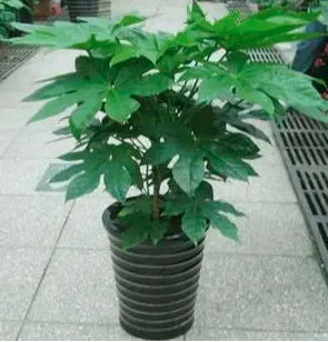 1716343701117248.png image.png