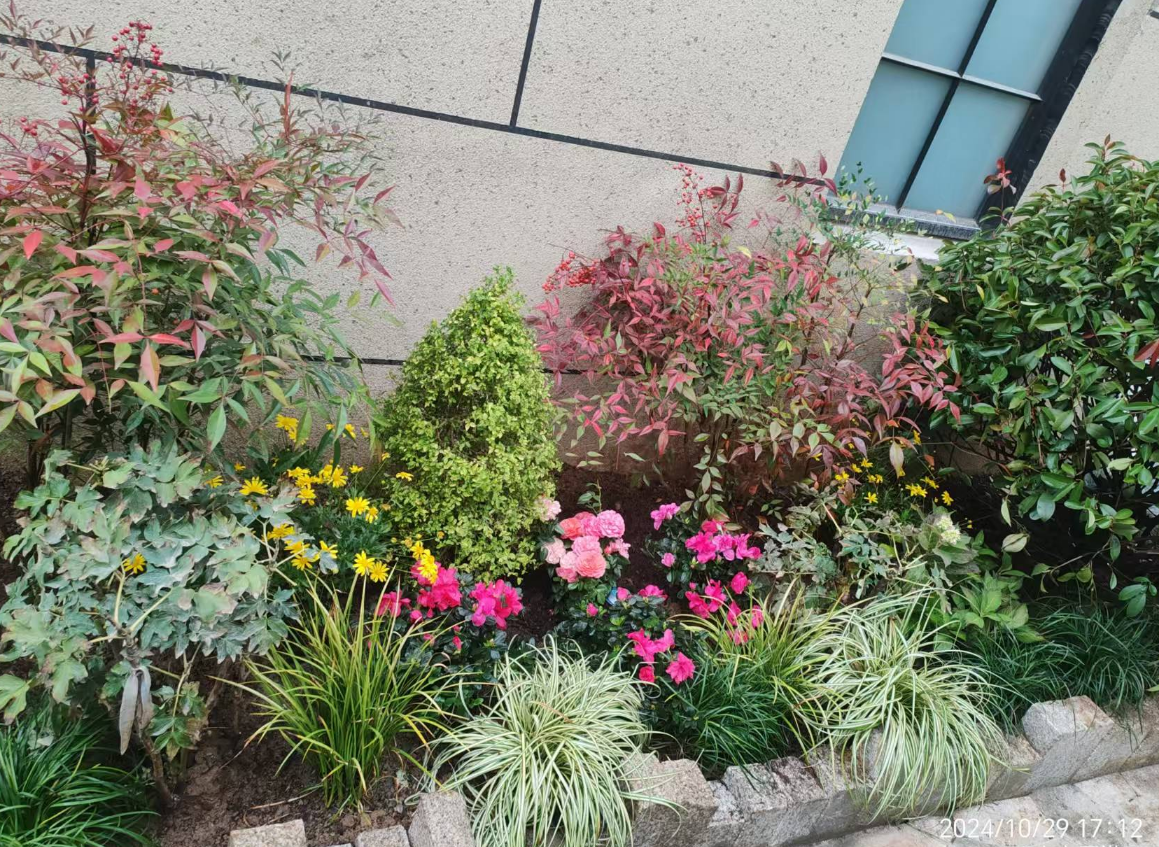 1731663653721525.png 1731663641175.png