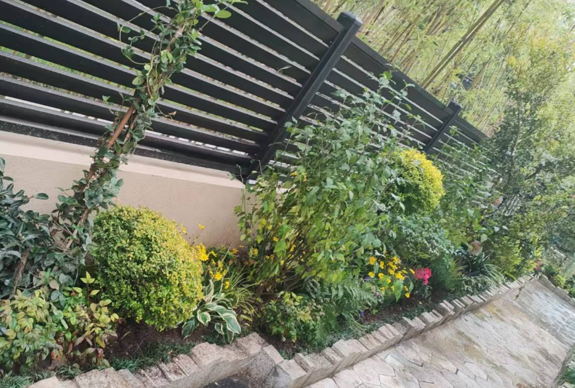 1731663697154240.png 1731663699402.png